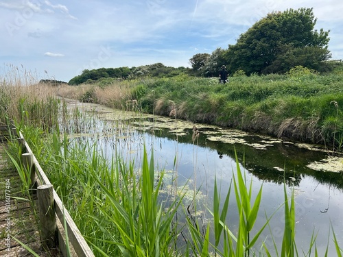 Fotografia Beautiful landscape of deep still river in Norfolk Broad wildlife nature reserve