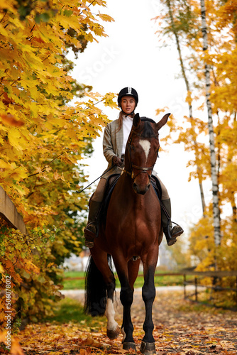Portrait of a pretty young woman with a brown horse riding autumn day
