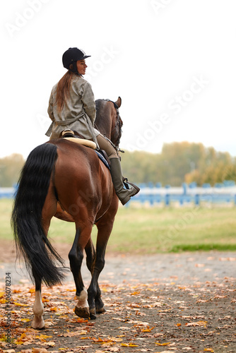 Portrait of a pretty young woman with a brown horse riding autumn day