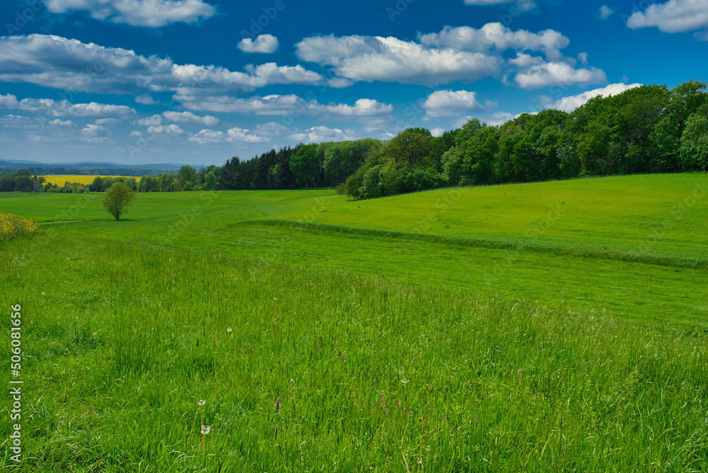 Wiesen Landschaft im Frühling Wiesen Landschaft im Frühling