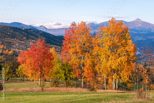 foggy mountains and autumn yellow trees