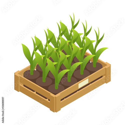 Modern Greenhouse Box Composition