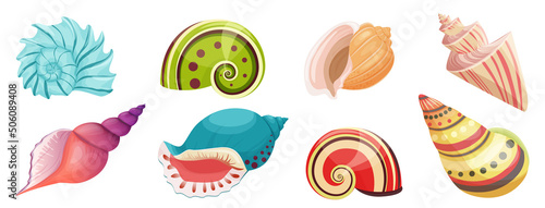 Seashells from tropical beach or underwater set vector illustration. Cartoon colorful aquatic shells with spiral conch, collection of mollusks isolated white. Crustacean, nature, summer concept