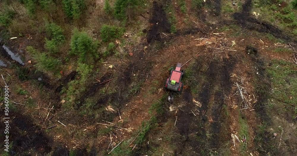 An aerial of a red tractor preparing forest land with disc trenchers for planting saplings. An aerial of a red tractor preparing forest land with disc trenchers for planting saplings.