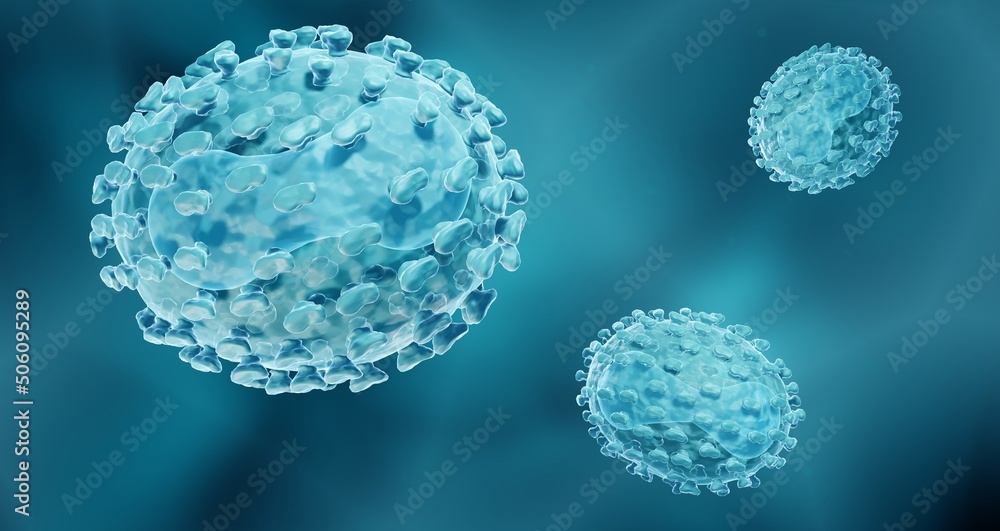 Smallpox or monkeypox viruses Smallpox or monkeypox viruses