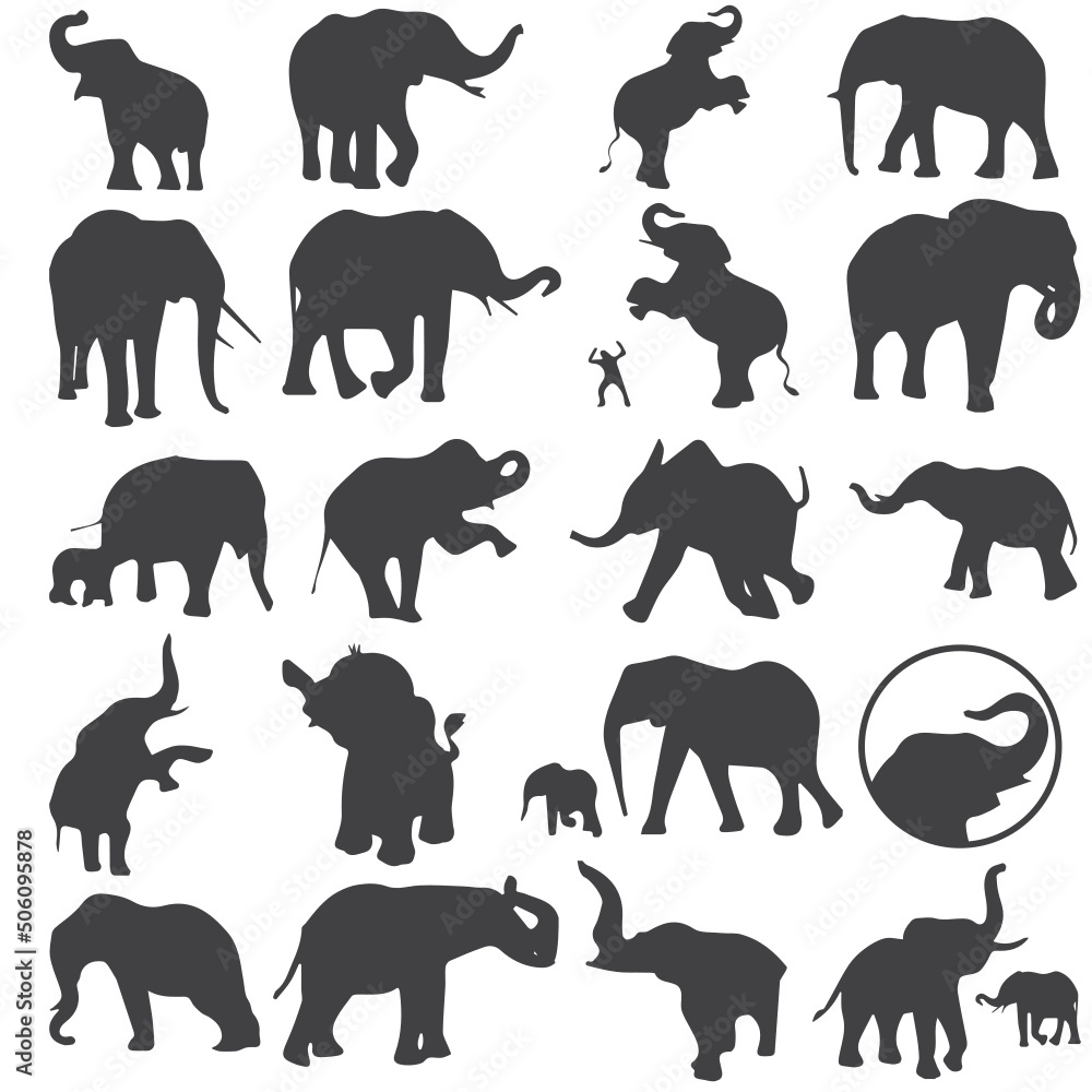 set of animals silhouettes, Elephant Graphic Vector Art and Graphics.
Elephant Vector Illustration Black. Illustration.
Elephant icon  vector. Illustration of monochrome.
Elephant Set Vector. 