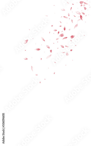 Delicate Rose Fall Vector White Background. Blur