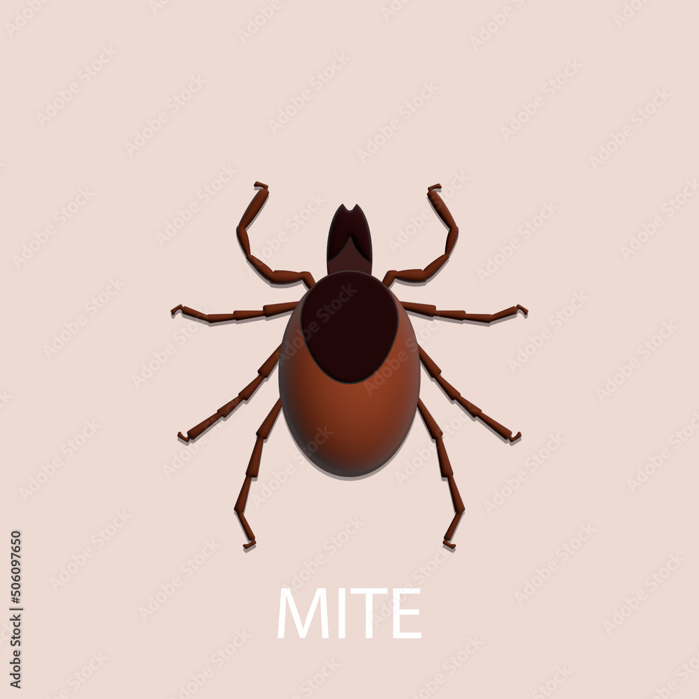 Tick on white background. Insect. 3D illustration.