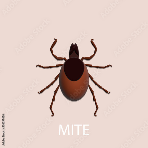 Tick on white background. Insect. 3D illustration.
