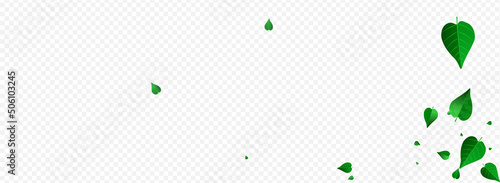 Olive Greens Spring Vector Panoramic Transparent