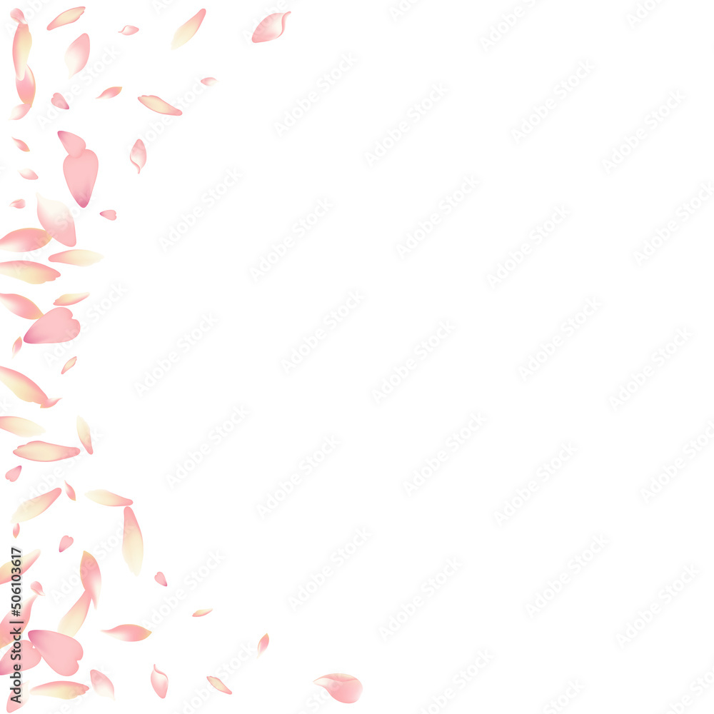 Transparent Apple Petal Vector White Background. Transparent Apple Petal Vector White Background.
