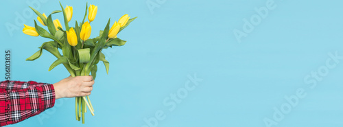 Banner bouquet of yellow tulips in female hand on blue background with copy space and place for advertising. Gift and holiday concept photo