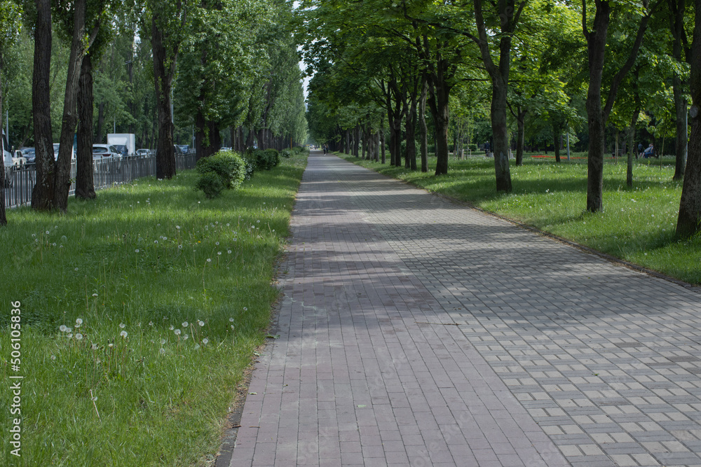 beautiful bike path in the park