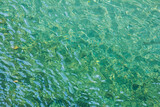 Texture of turquoise transparent water, water texture