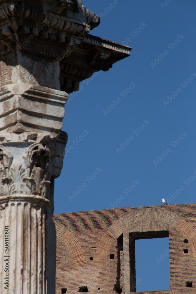 foto roma, colosseo, turisti, fori imperiali
