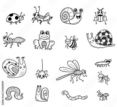 Vector Collection of cute insects. Linear hand drawn doodle. Isolated decorative characters frog, snail, beetles and spider, dragonfly and bee, ladybug and mosquito for design, decor, decoration