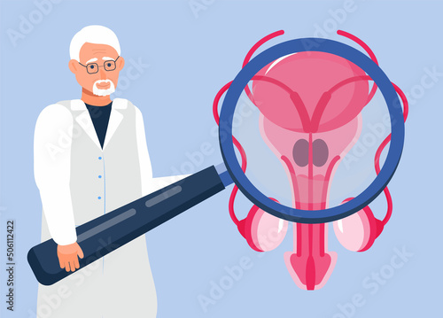 Doctor looks at the prostate through a magnifying glass. Prostate icon concept vector. Andrology andrology illustration for web, landing page, blog. photo