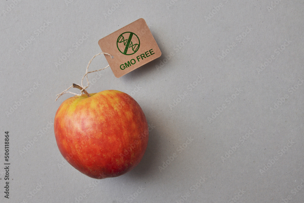 The "free from GMO" icon on the apple. The symbol of an environmentally