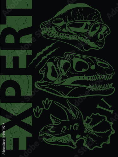 Dinosaur expert. t shirt design . .Kids dino slogan, for clothes, banner, girls, boys, women, child. 