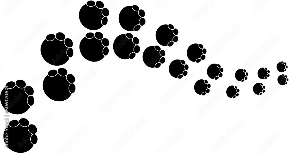 path and trail of elephant tracks moving away animal footprint pattern ...