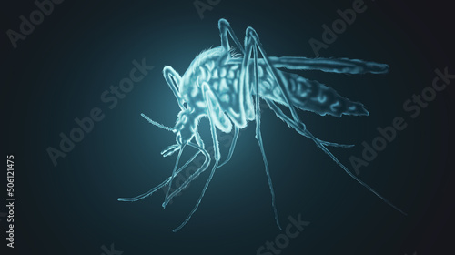 Mosquito, malaria, bite 3d illustration
