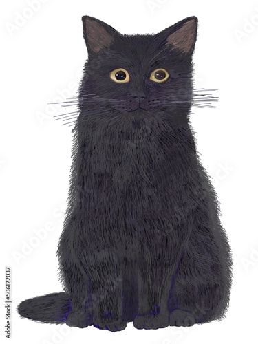 黒猫正面お座り_リアルタッチ