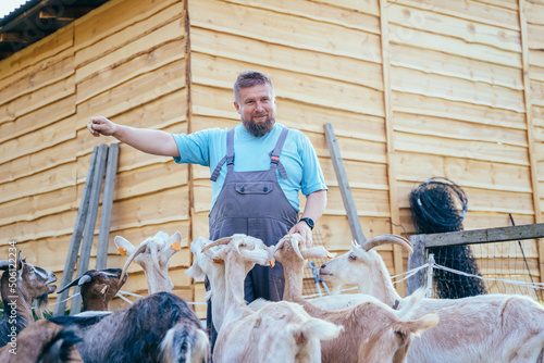 Happy positive farmer man between his domestic animals. Male farmer in overall goat herder smiling while looking at goats in front of wooden wall. photo