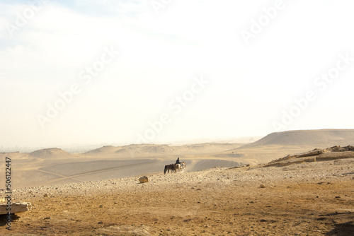 Ruins of the city of historic city Egypt, Stone Cairo, Desert, Egypt desert, Pyramid, old stone, Pyramid of Khafre, Sahara, Desert caravan, horse caravan, Desert horse, horses