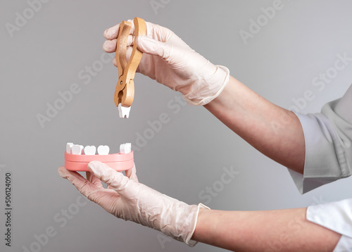 Foto Dentist hands pulling tooth with forceps out of jaw model