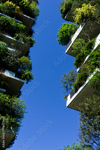 Palazzi coperti di piante e alberi