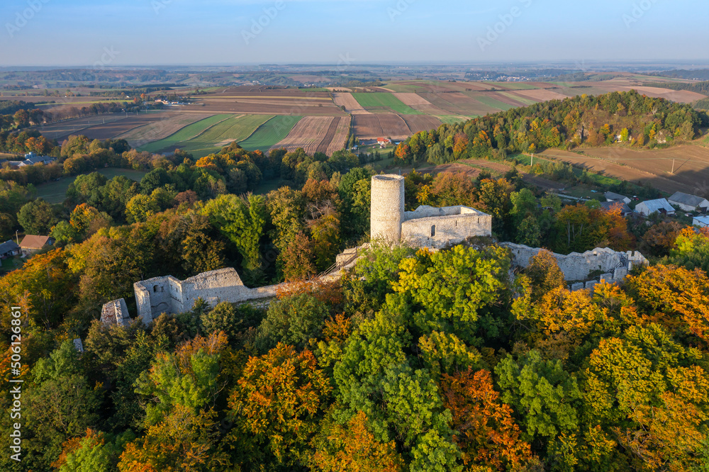 Naklejka premium Zamek Pilcza w Smoleniu