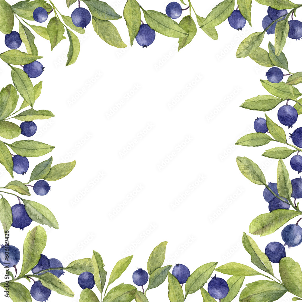 Blueberry frame. Hand drawn watercolor square background with blue Berry fruits. Backdrop with wild forest blackberry. Summer Border for invitation