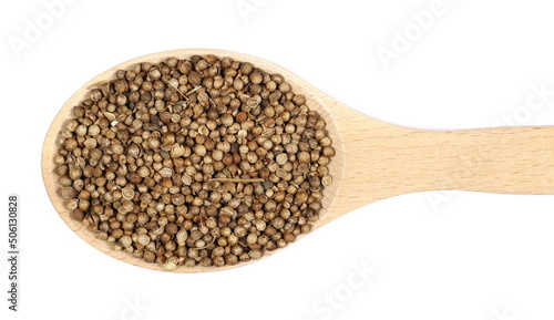 Coriander seeds in wooden spoon isolated on white, top view 