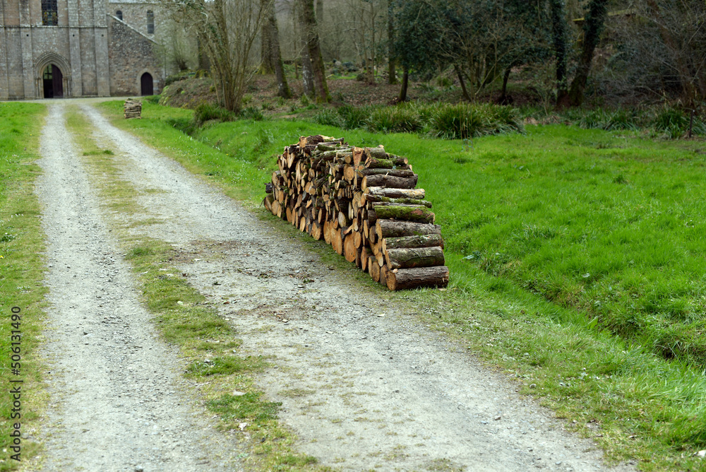 Obraz premium tas de bois bucheron