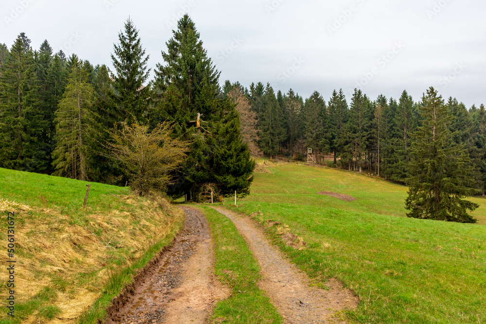 Wanderung zum Ruppberg im Thüringer Wald bei Zella-Mehlis - Deutschland