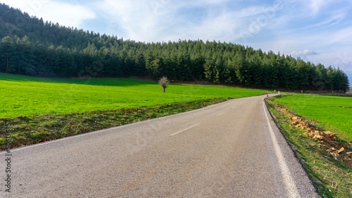green field forest and road