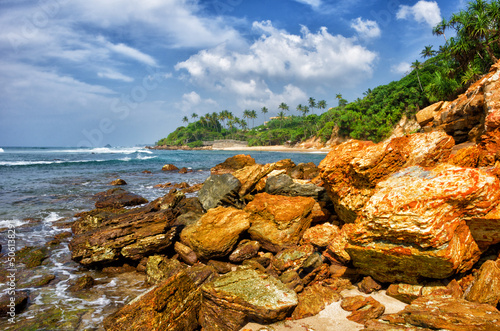 Palm trees against the blue sky, paradise beach, surf spot in Sri Lanka