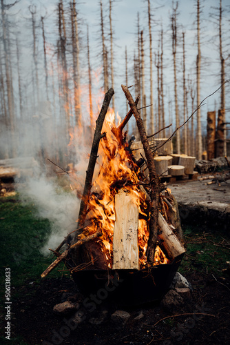 Fototapeta Naklejka Na Ścianę i Meble -  Feuer im Wald trotz Waldbrandgefahr