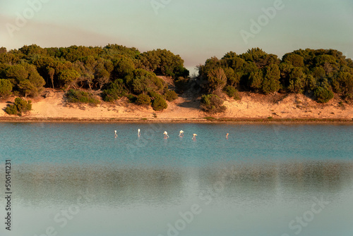 Sardegna, paesaggio con stagno, fenicotteri e dune di sabbia vicino alla spiaggia di Su Judeu, a Domus de Maria, Italia, Europa  photo