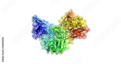 SARS-CoV-2 / COVID-19 endoribonuclease NendoU/ Nsp15 enzyme, 3D molecule photo
