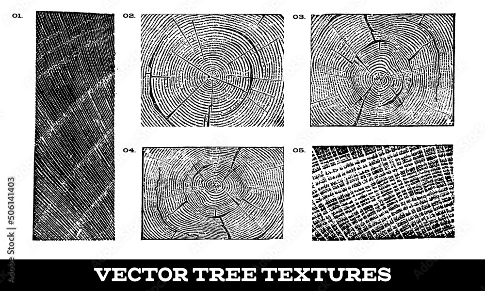 Vector Wood Tree Textures on White Background