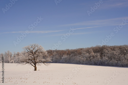 Frozen Winter country landscape outside of Campbellsport, Wisconsin