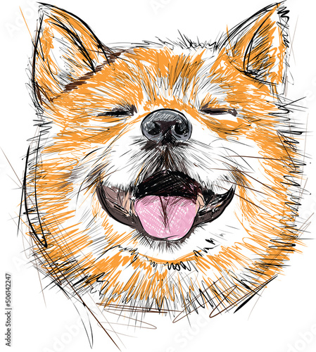Hand drawn sketch markers illustration of Shiba Inu dog. Portrait of сute smiley pet