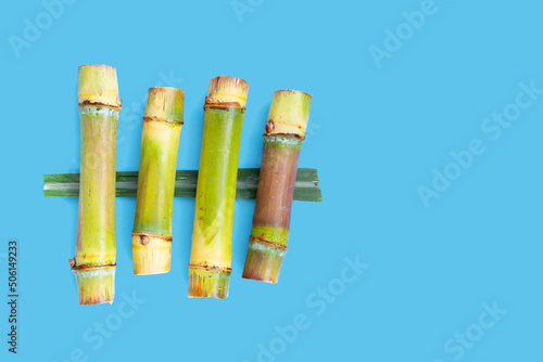 Sugar cane on blue background.