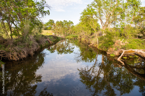 Coon Creek in the afternoon