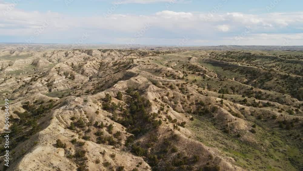 Desert hilly area with green bushes