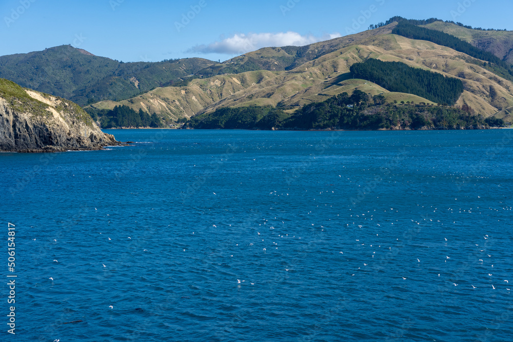 Flocks of seabirds on water below as top of South Island and Marlborough Sounds are approached by sea