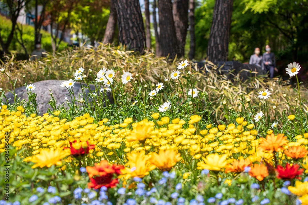 Obraz premium 경의선 숲길