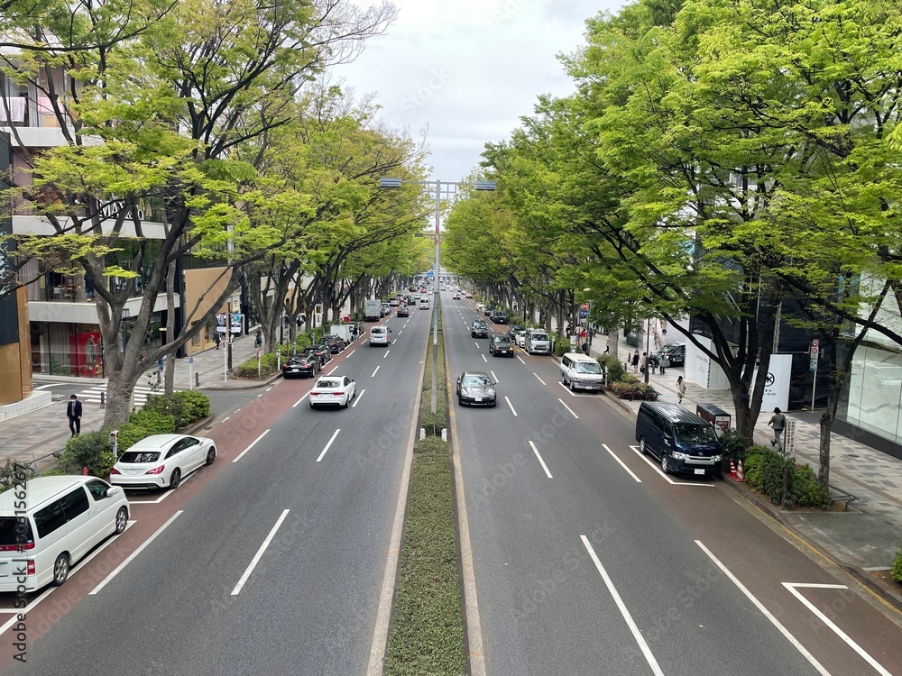 road in the city Omotesando, Tokyo