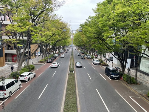 road in the city Omotesando  Tokyo
